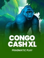 ค่าย pp ทดลอง เล่น: การผจญภัยในโลกสล็อต